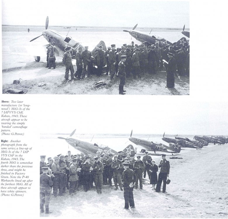 MiG-3Kuban43.thumb.jpg.712307cc721a8afaee1f04ee5c11083a.jpg