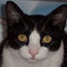 casper139971