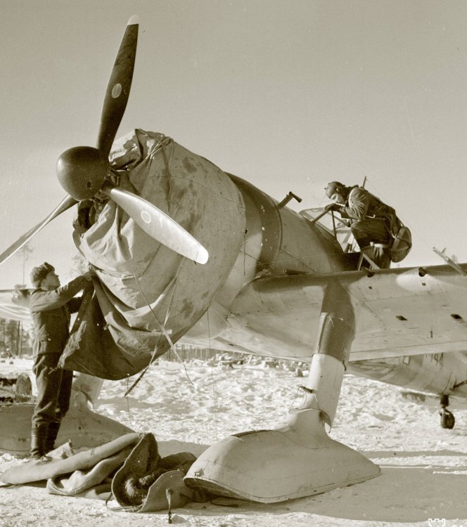 Finland Fokker-D-XXI-FAF-3.LeLv30.jpg