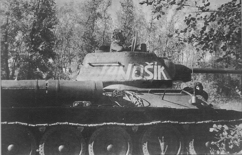 IMG_0001 JANOSIK.jpg