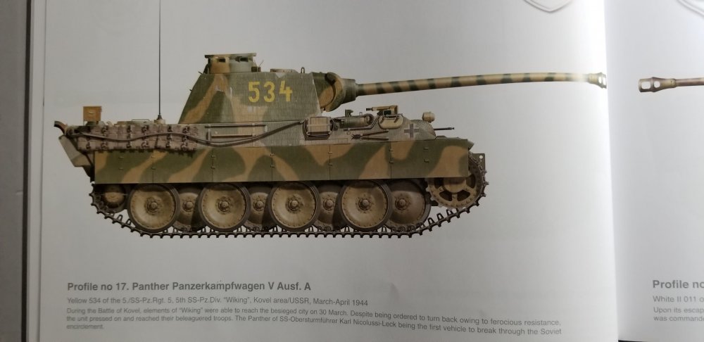 534 panther online.jpg