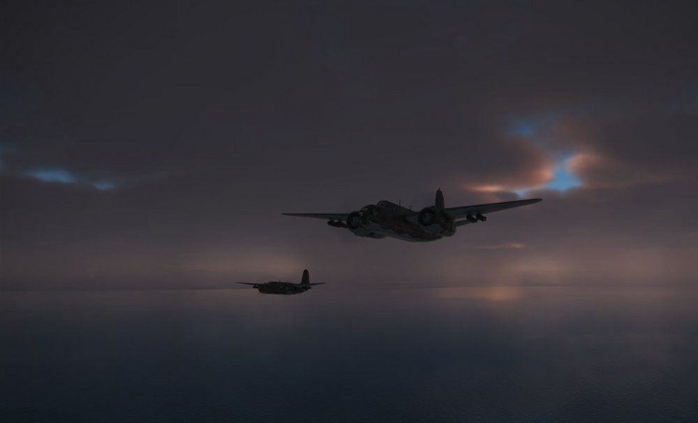 Eagle flight patrol.jpg