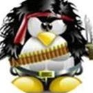 Penguin_22