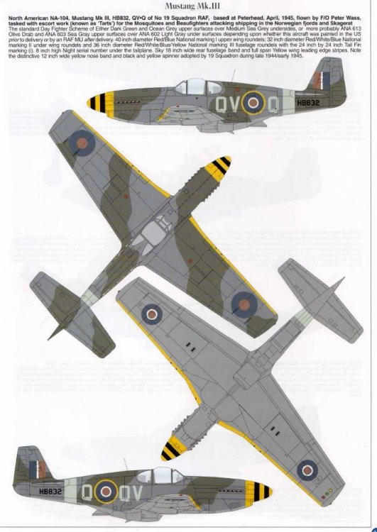 mustang MkIII 19th Squadron 'QV-Q'.jpg