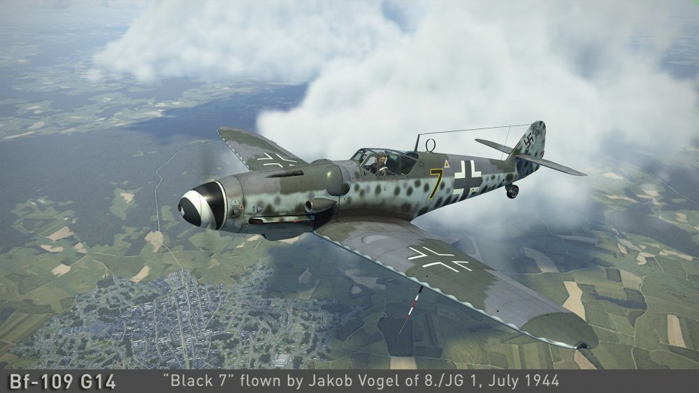 Bf-109G14-Vogel.thumb.jpg.031db6ecb6a4e581e884fe4a17cc6c7c.jpg