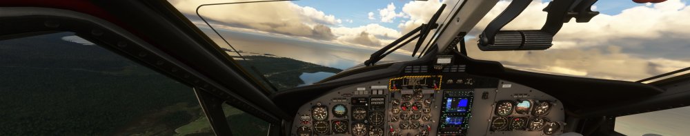 MSFS_93.thumb.jpg.0719606838d70aad331918f1767fc60e.jpg