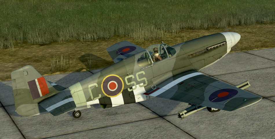 P-51C_RAF_01a.png.b926a714ebfa38e9904ef37fddebcf4e.png