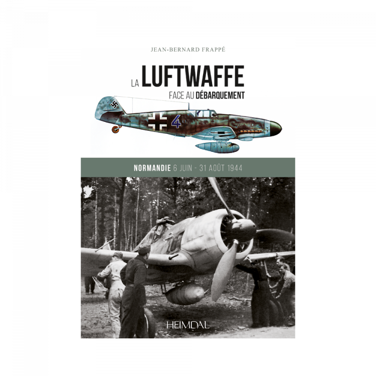 la-luftwaffe-face-au-debarquement.jpg