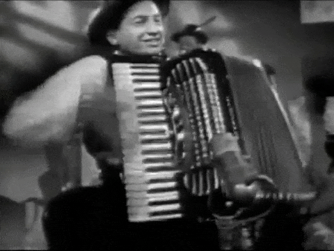 accordian1.gif.f6d17616e1926500e181210c0afbd6e9.gif