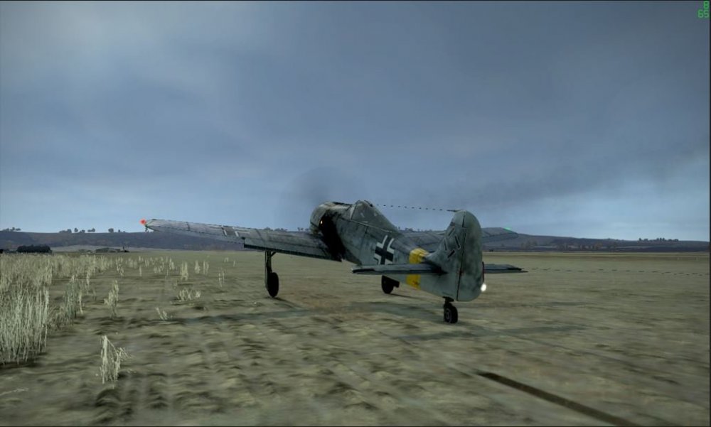 fw1902.JPG