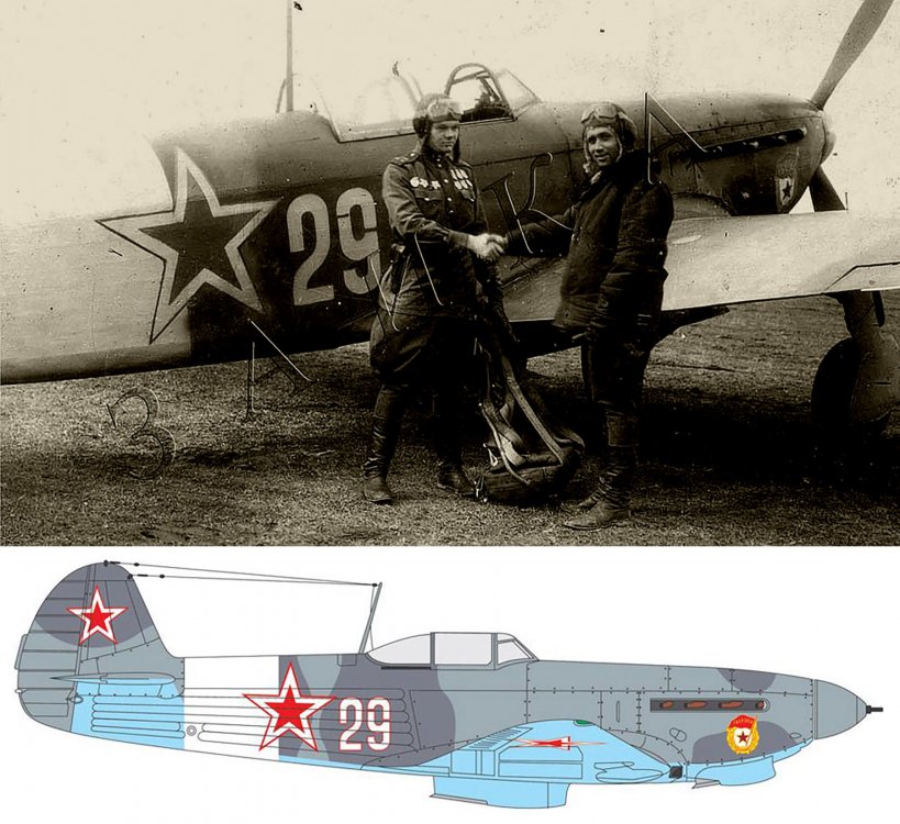 Yakovlev-Yak-9M-409IAP-120IAD-White-29-with-IM-Stopa-East-Prussia-1945-01.jpg