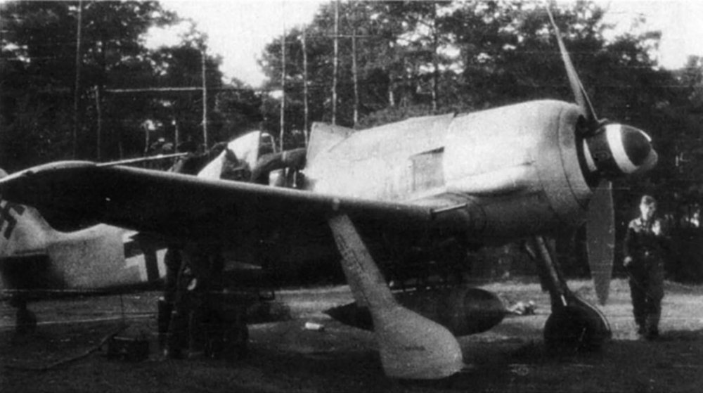 AA_Focke-Wulf-Fw-190A-JG301-WNr-202565-Germany-01.thumb.jpg.b6649b973f0f0190ff9aca08a8ef2ba2.jpg