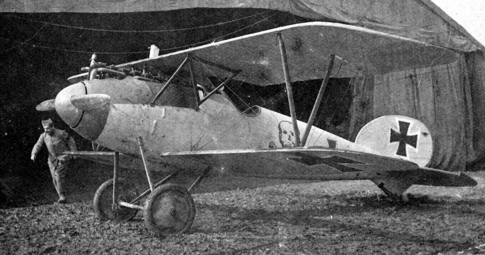Albatros_DVa_D5695_17_Jasta65_Ltn_Lothmann_d.jpg