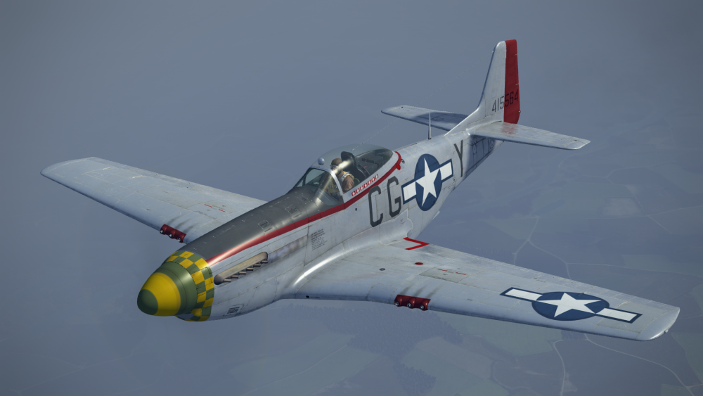P51.png