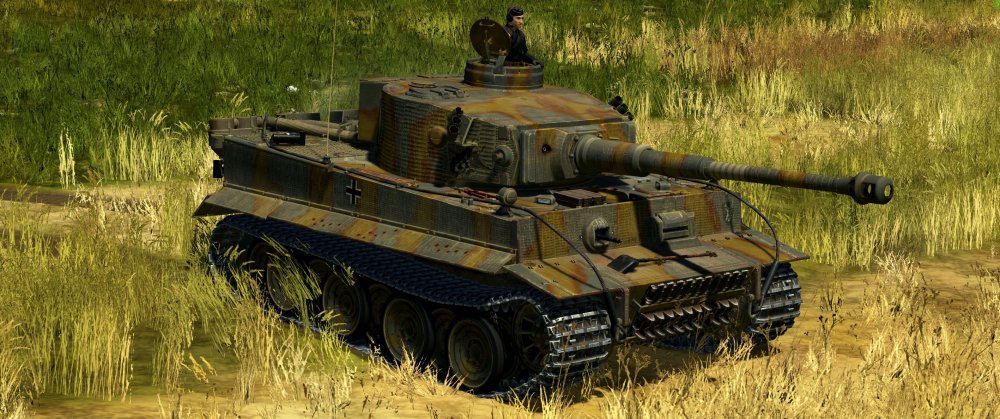 Pz_Abt_507th_Poland2.jpg