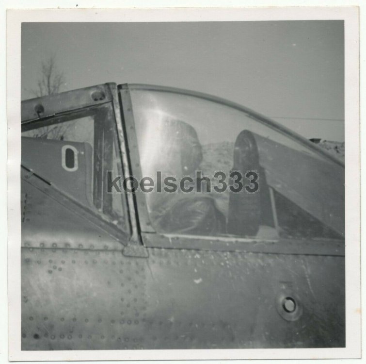 473595548_Schlachtgeschwader77PilotimFockeWulfFw190Flugzeugb.thumb.jpg.849d2d238ebb91210dd44043986d2e27.jpg