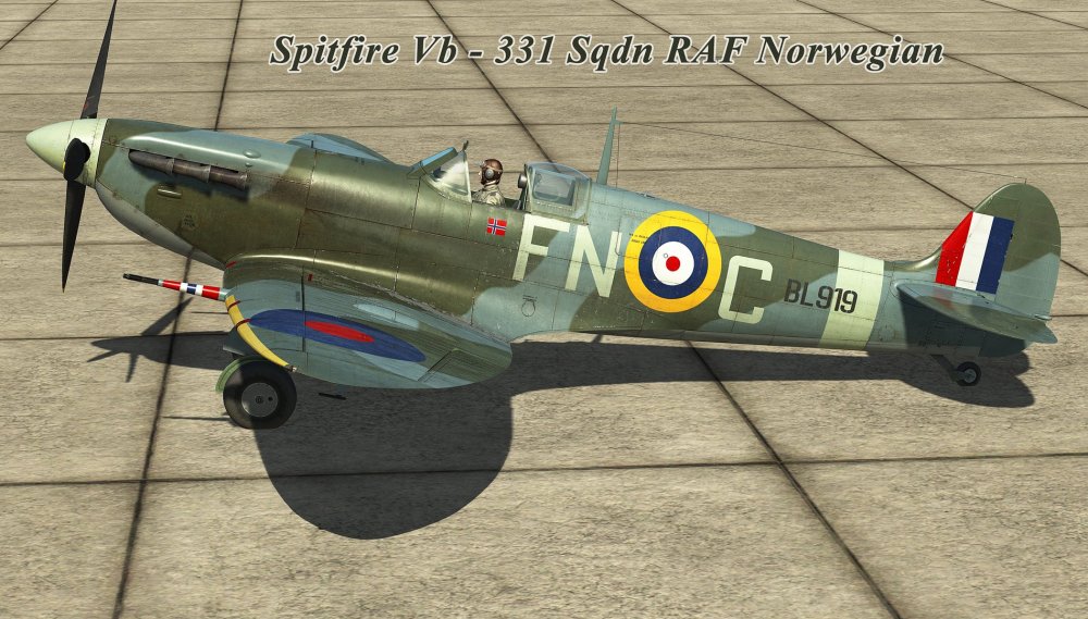 HSD 331RAF FN-C_1k.jpg