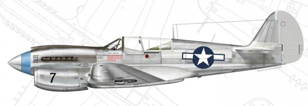 P40 Aluminum.jpg