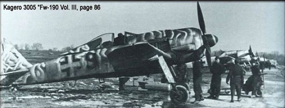 1871219022_Focke-Wulf-Fw-190F8-I.SG2-Red-9-Hungary-1945-01edited.thumb.jpg.8eaed7e9432dea33c77a755da0f27064.jpg