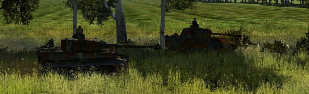 ShampooHBTigerPanther1 (2).jpg