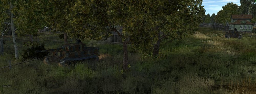 ShampooHBTigers (2).jpg