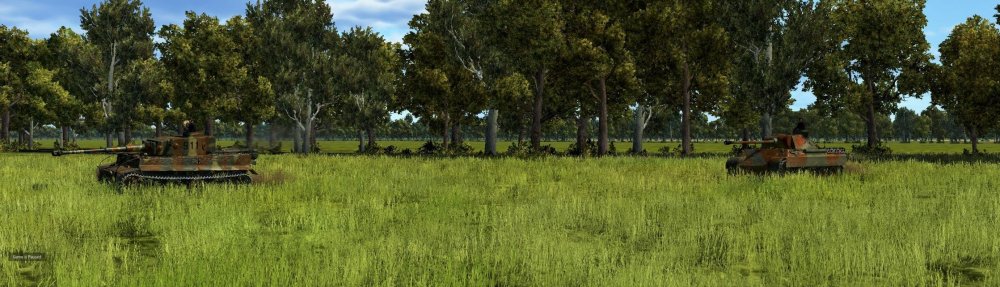 ShampooHBTigerPanther2 (2).jpg