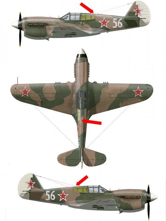 Curtiss-P-40E-Kittyhawk-USSR-196GvIAP-White-56-Leningrad-1942-0A.jpg