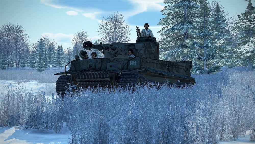 Winter_Tiger.jpg