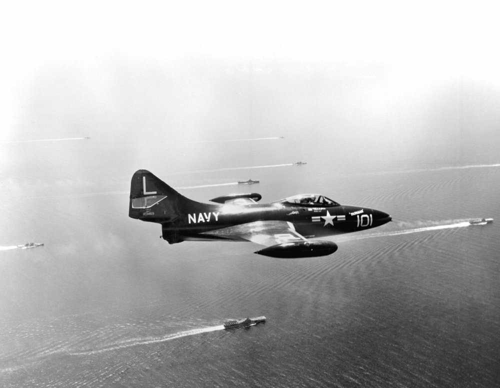 f9f-panther-large1-56a61c593df78cf7728b64df.thumb.jpeg.5ec5c89cf1fb352b9075abda02f3e693.jpeg