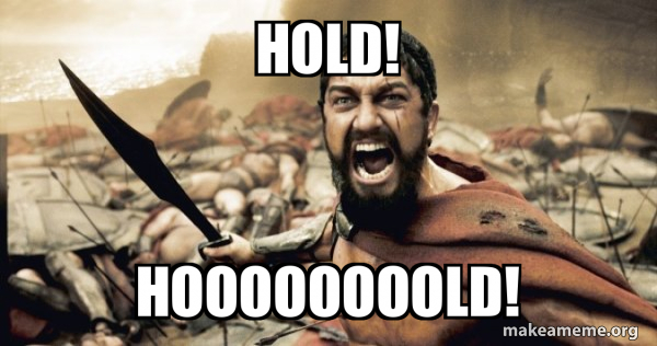 hold-hoooooooold.jpg.5ef6d6da39486669e39ef8113abd2a1c.jpg