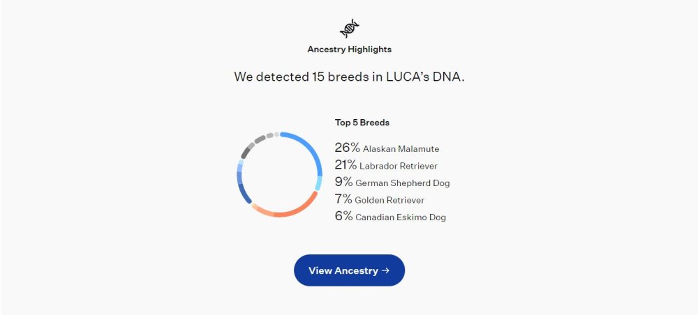 Luca Wisdom Panel.JPG