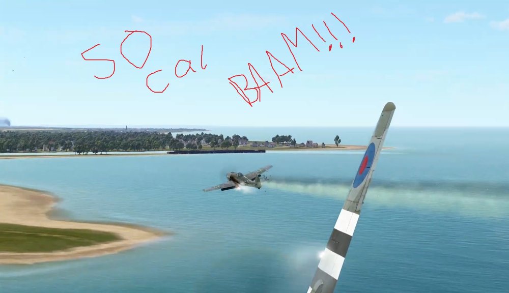 50 cal baam.jpg