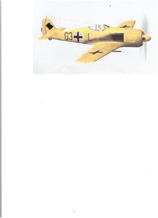 Maj von Graff_Yellow_Fw190A5.jpg