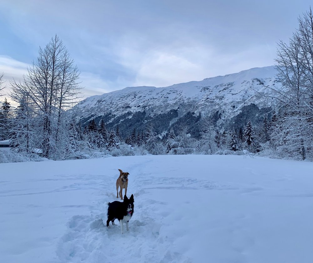 Luca and Clover2 (2).jpg