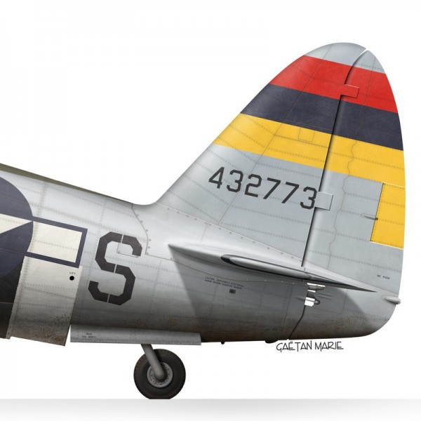 print-of-the-republic-p-47d-thunderbolt-maj-howard-park-513th-fighter-squadron-406th-fighter-group-france-1945.jpg.b65a62c4dfcda770236261310ec4aa78.jpg