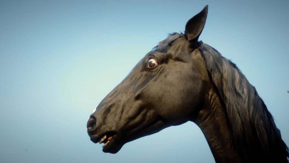 0_0 - 2021-10-23T215918.244.jpg