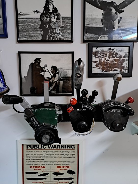 WhatsApp Image 2022-11-20 at 19.52.57.jpeg