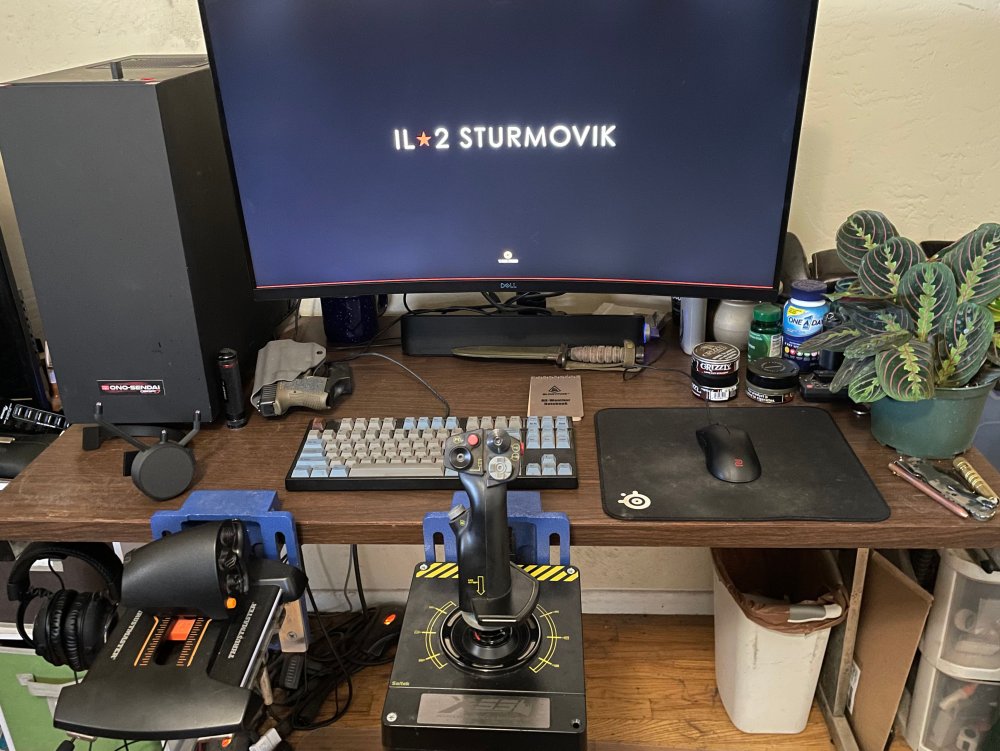 1666629081_FlightRig.thumb.jpg.03adf163f51bc875db127b1cc83abaac.jpg
