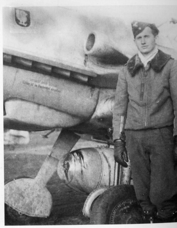 thumbnail  8th Staffel emblem JG 54 Sahl.jpg