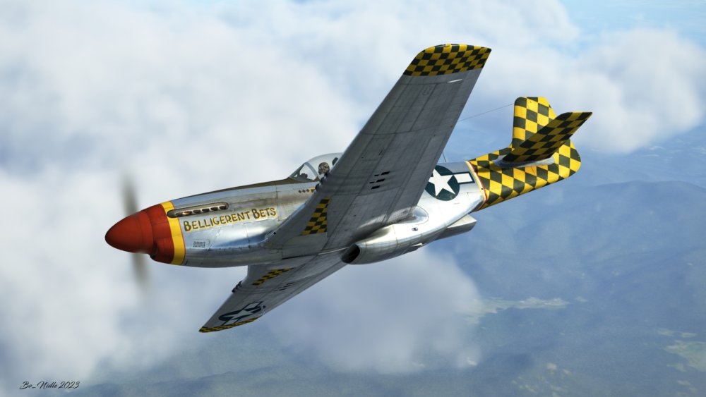 Belligerent Bets underside.jpg