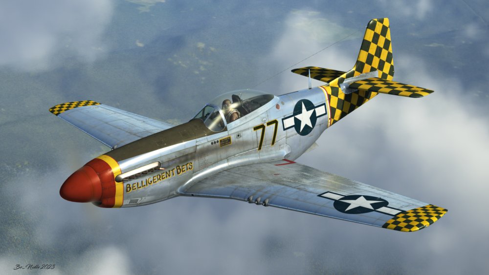 Belligerent Bets.jpg