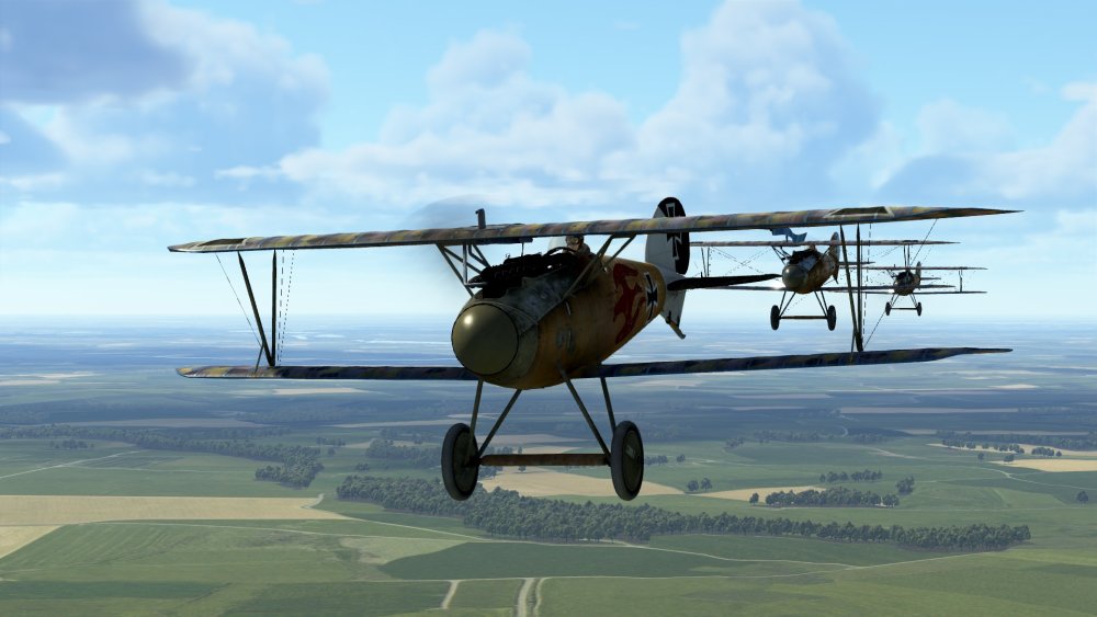 Albatros flight FC.jpg