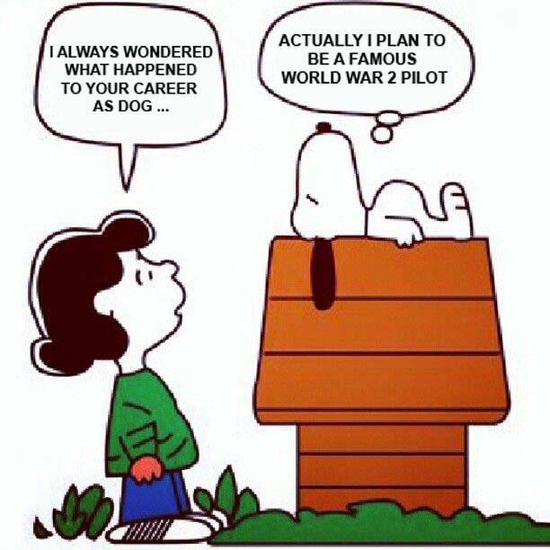 1132324888_snoopypilot.jpg.048e920a62e8af0b77ede92cd7f8d205.jpg