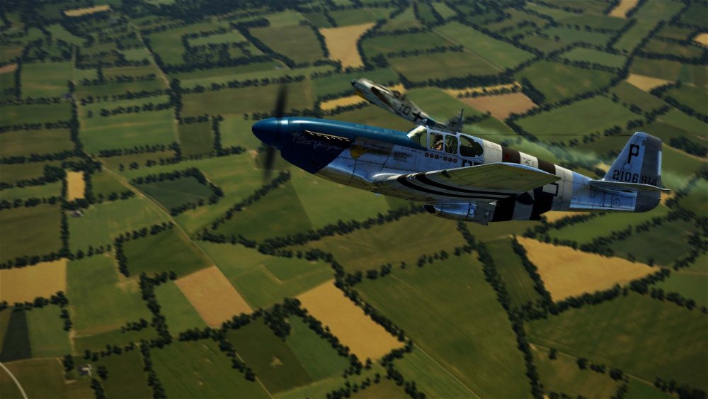 P51B & C - 352nd Fighter Group D-Day 'The west by gawd virginian'.jpg