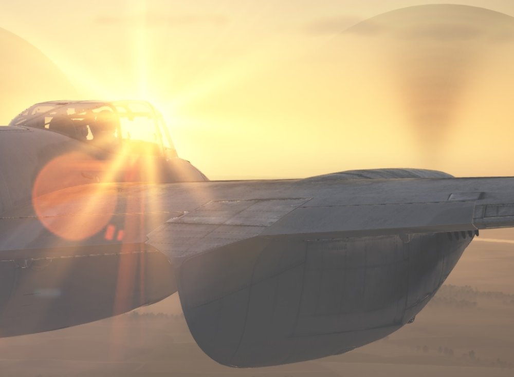 Morning Mossie 3.jpg