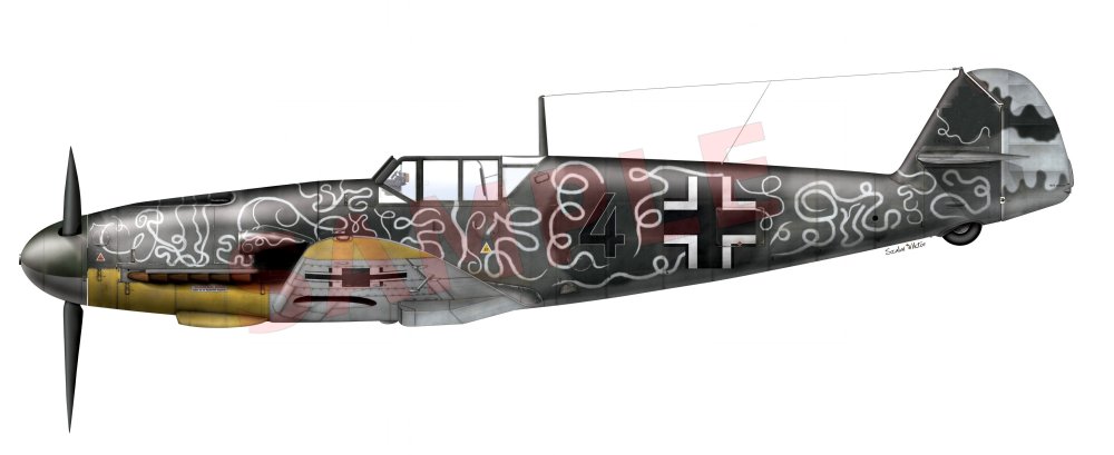 New Bitmap Image (2).jpg