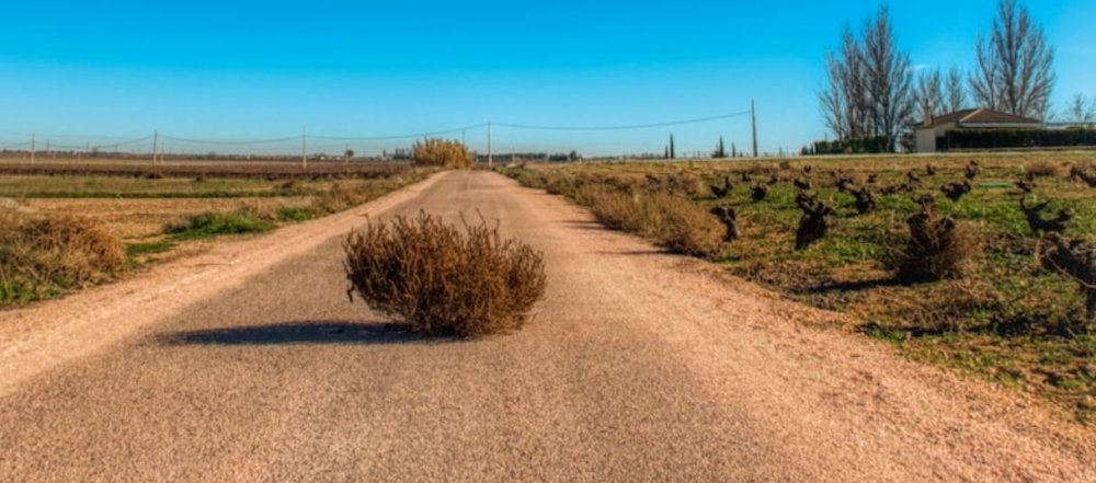 tumbleweed.thumb.JPG.9b32dfb15c1e8155effcca04aa8a2c7f.JPG