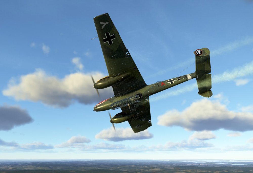 -Bf110shotup.thumb.jpg.f795984f36199f1b9dea97bb2128d953.jpg