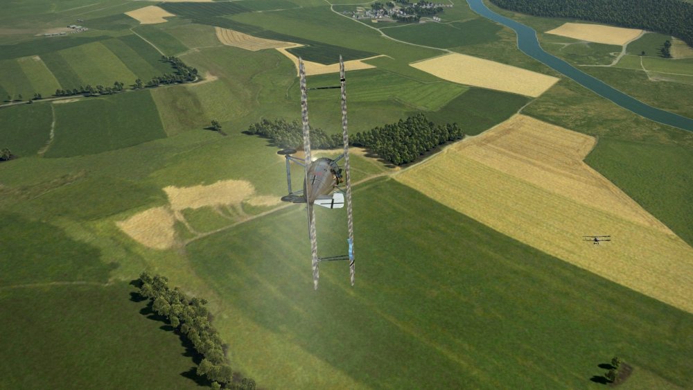 Dogfight with Snipe2.jpg