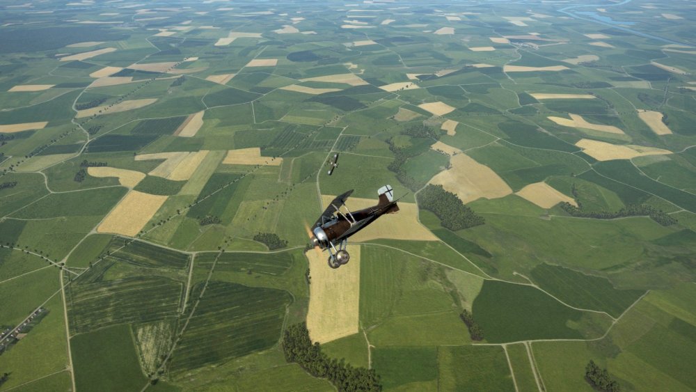 Dogfight with Snipe3.jpg